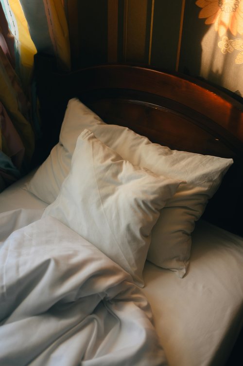 pexels-didsss-33312399